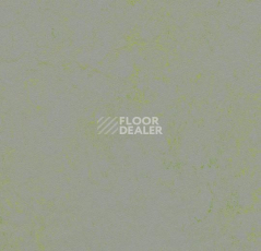Линолеум Forbo Marmoleum Decibel on Order 373635 green shimmer фото 1 | FLOORDEALER
